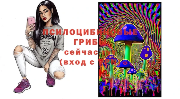 дурь Абдулино